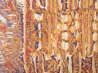Three Figures