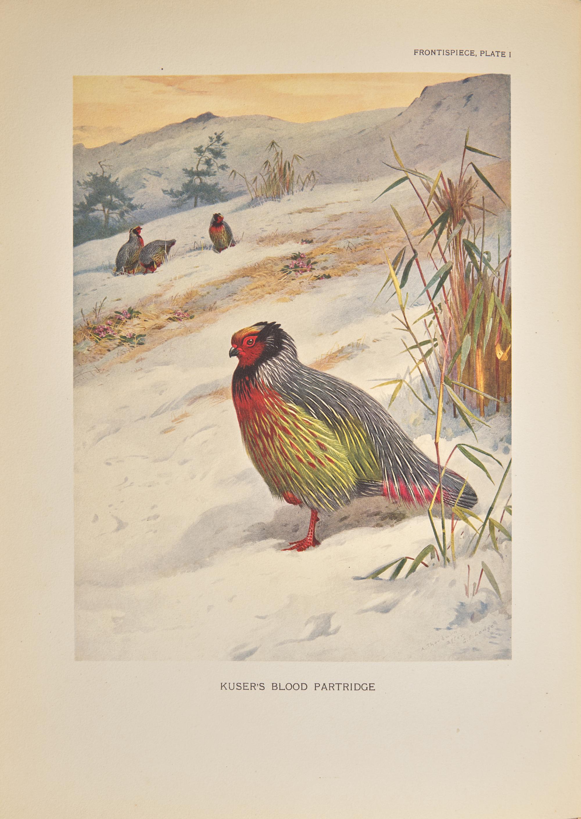 [Natural History] Beebe, William. A Monograph of the Pheasants