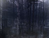 Untitled 6 (A Train Journey from Cracow to Auschwitz) , from the series White Noise , 1999-2000