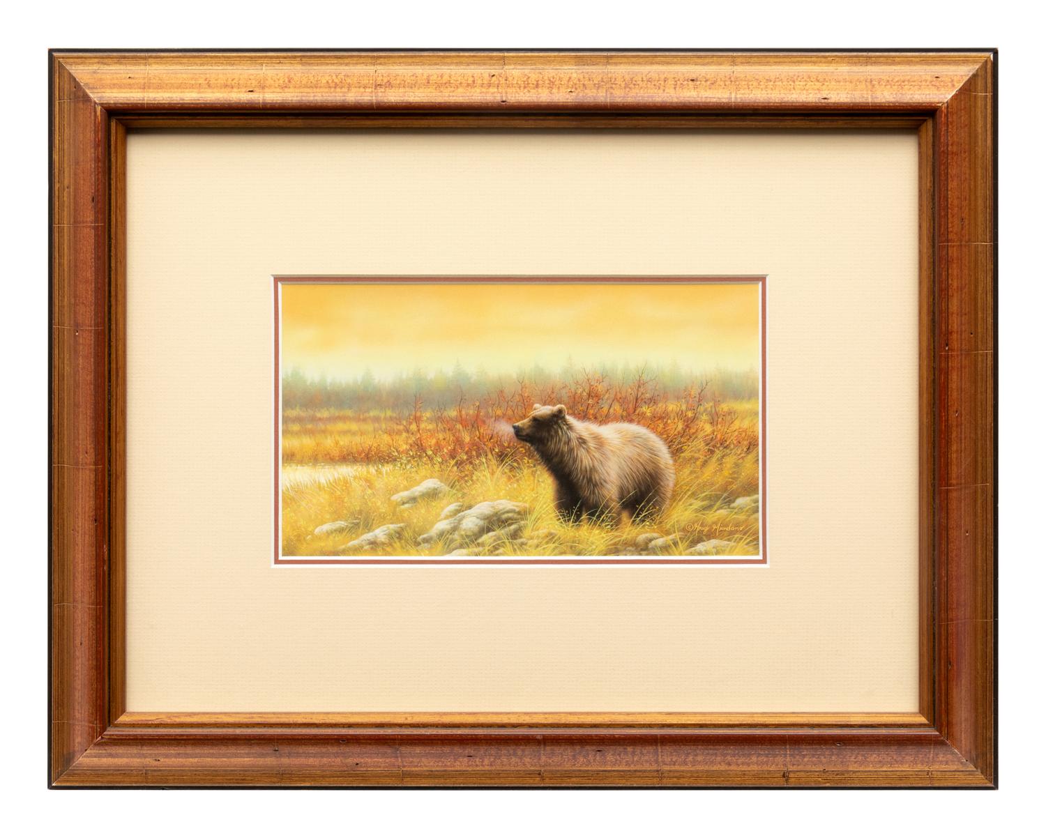 Silver Tip Grizzly