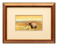 Silver Tip Grizzly