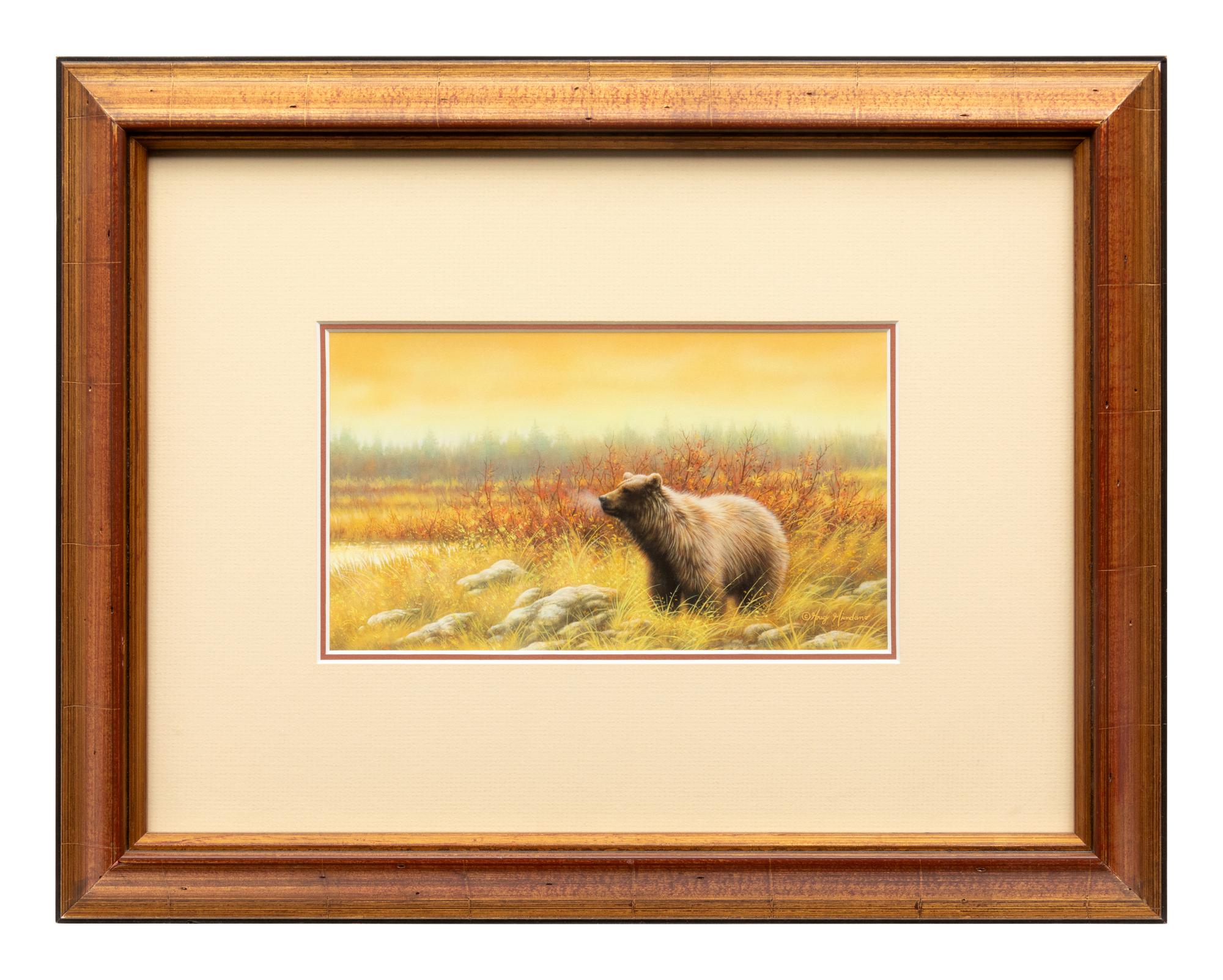 Silver Tip Grizzly
