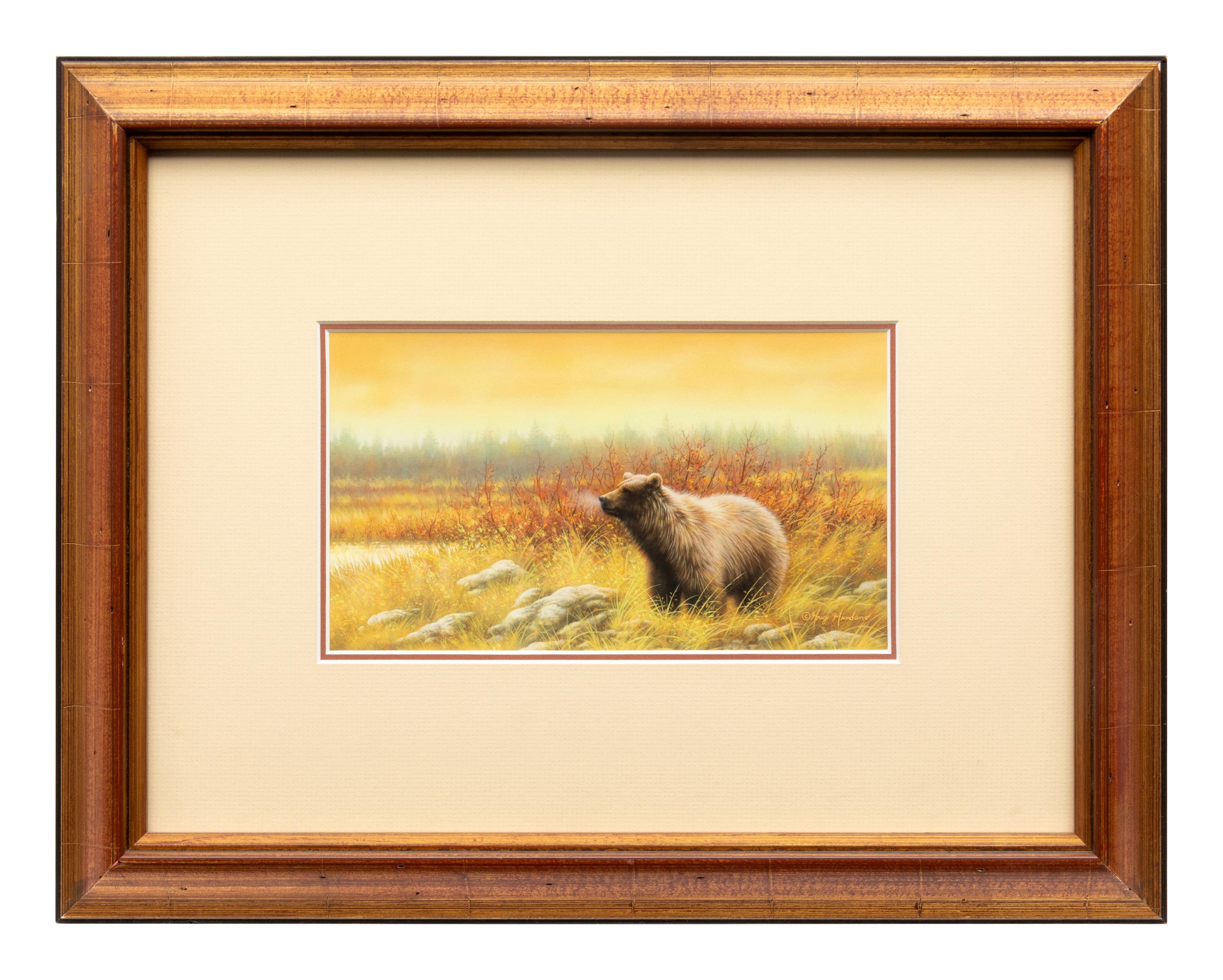 Silver Tip Grizzly