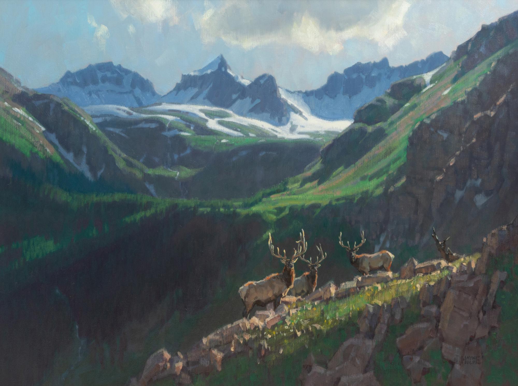 Bulls of Ice Lake Basin