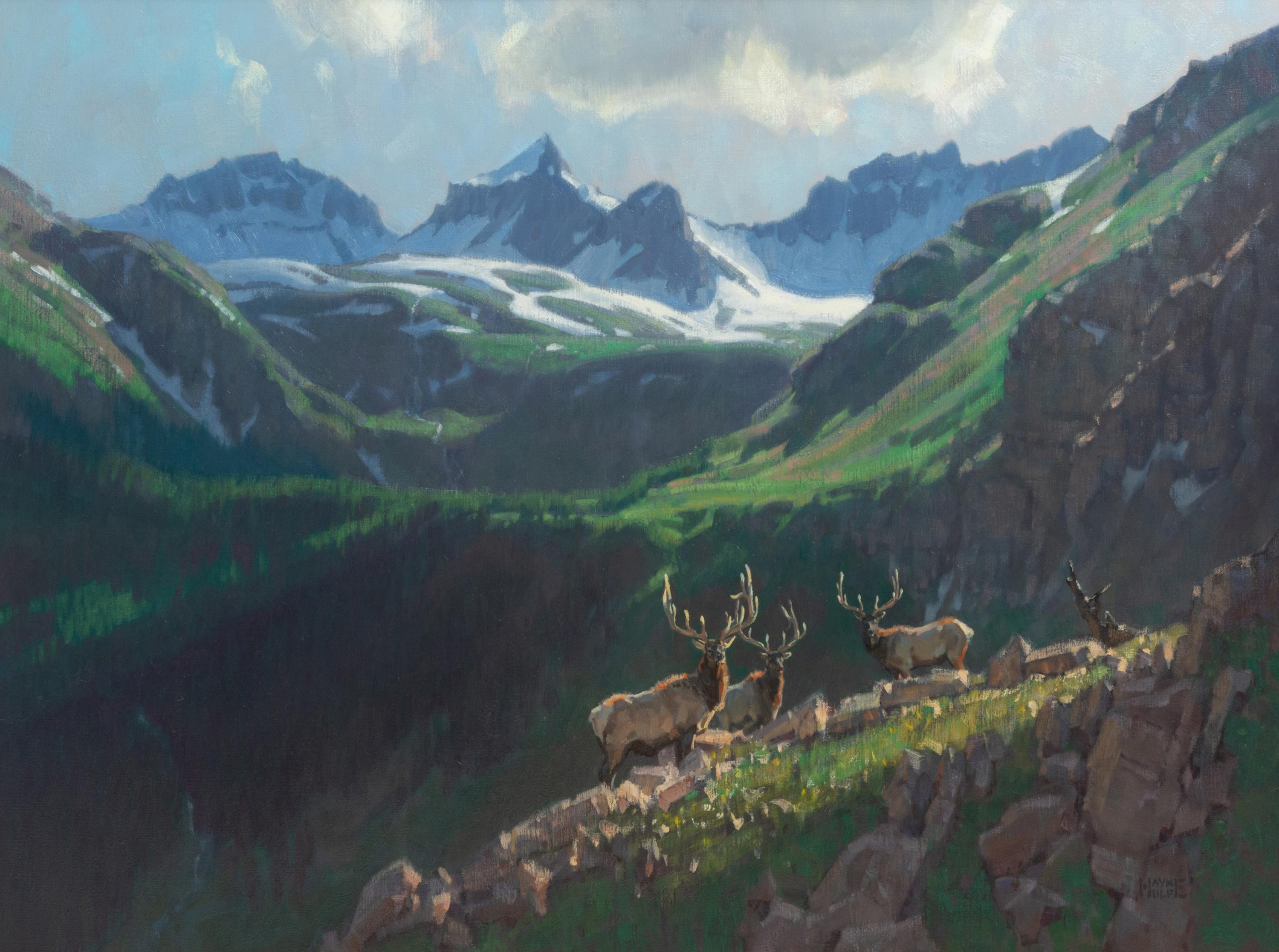 Bulls of Ice Lake Basin