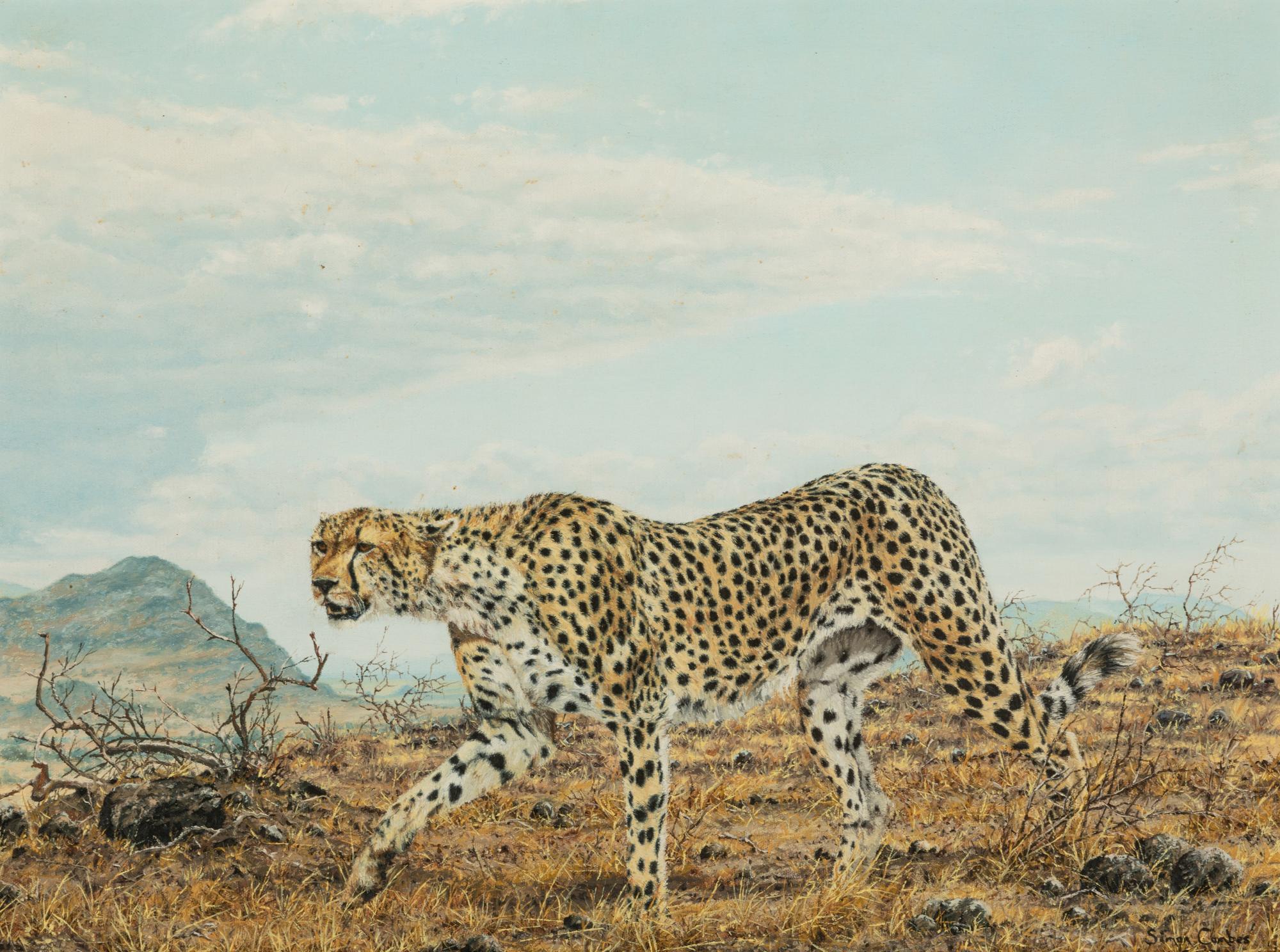 Cheetah