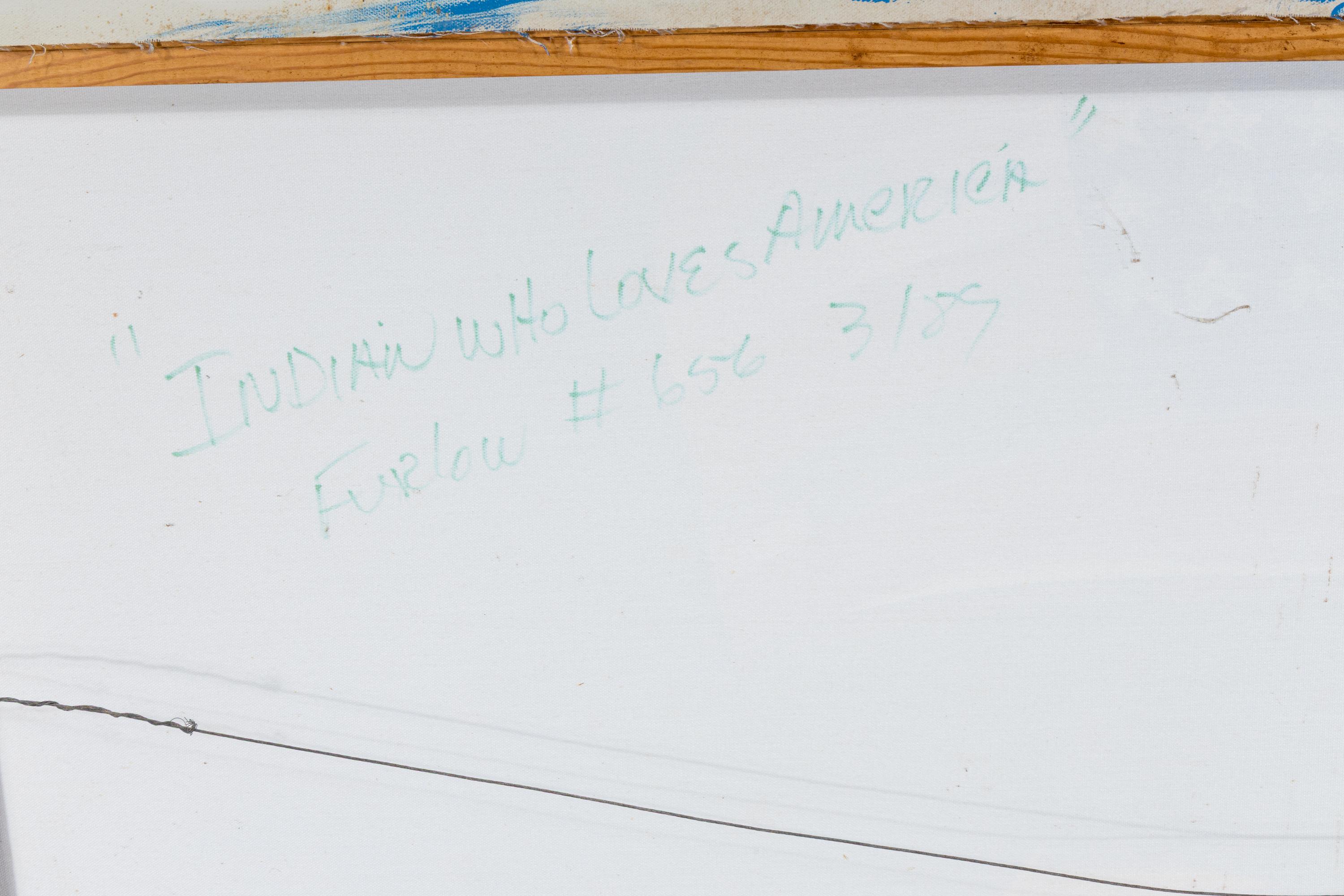 Indian Who Loves America