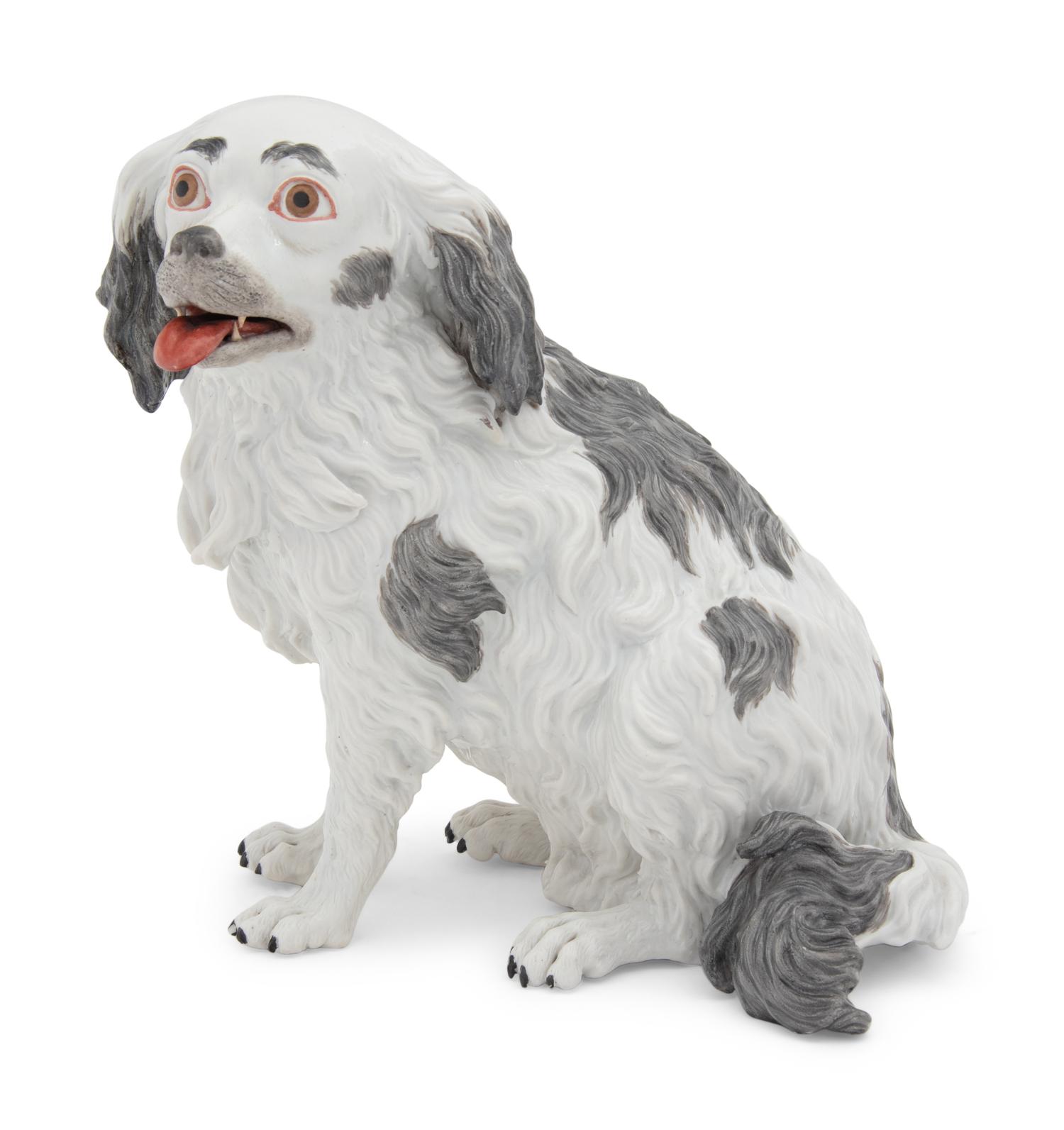 A Meissen Porcelain Bolognese Hound