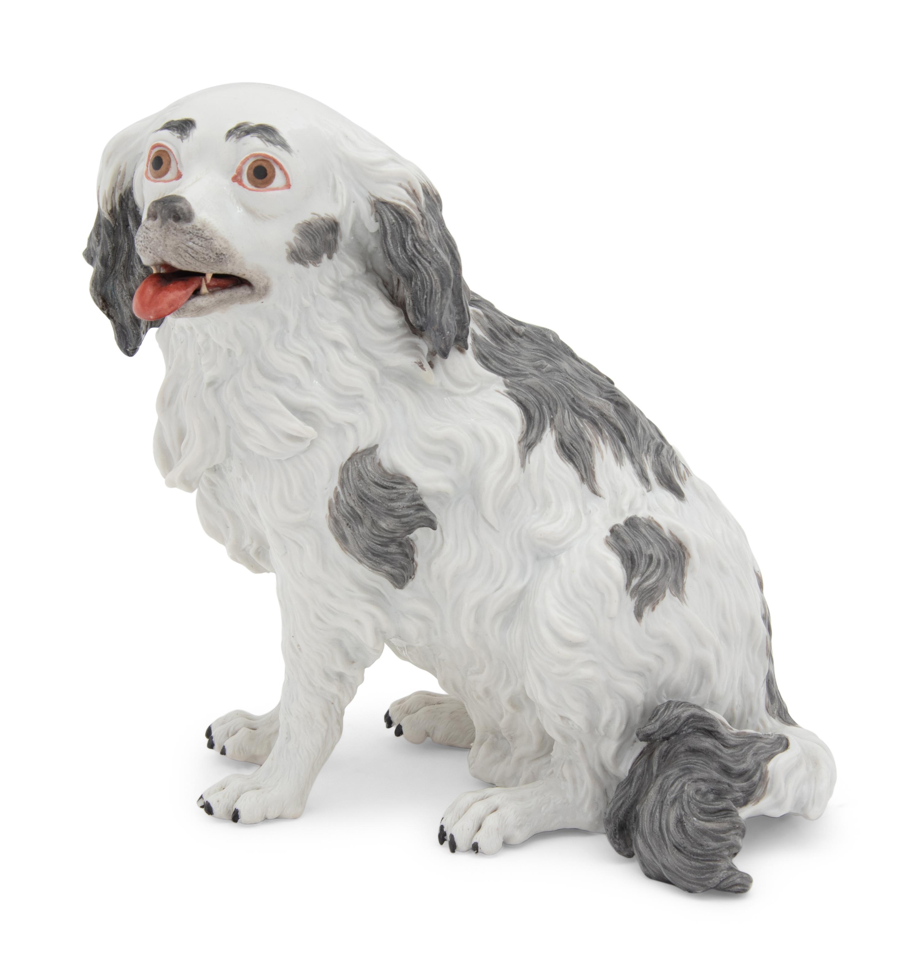 A Meissen Porcelain Bolognese Hound