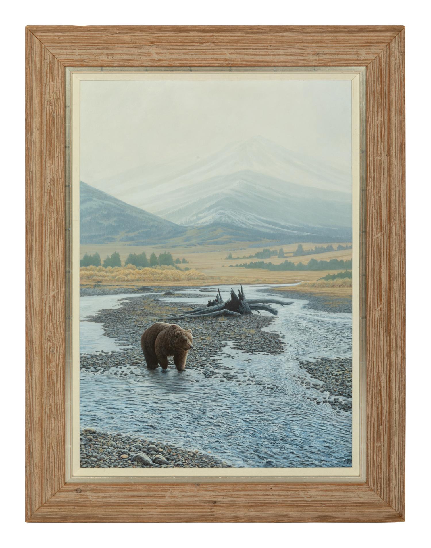 Wilderness Walk Grizzly , 1997