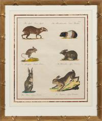 A Set of Eight Animalier Prints 16 3/4 x 13 1/2 inches. — 19TH CENTURY