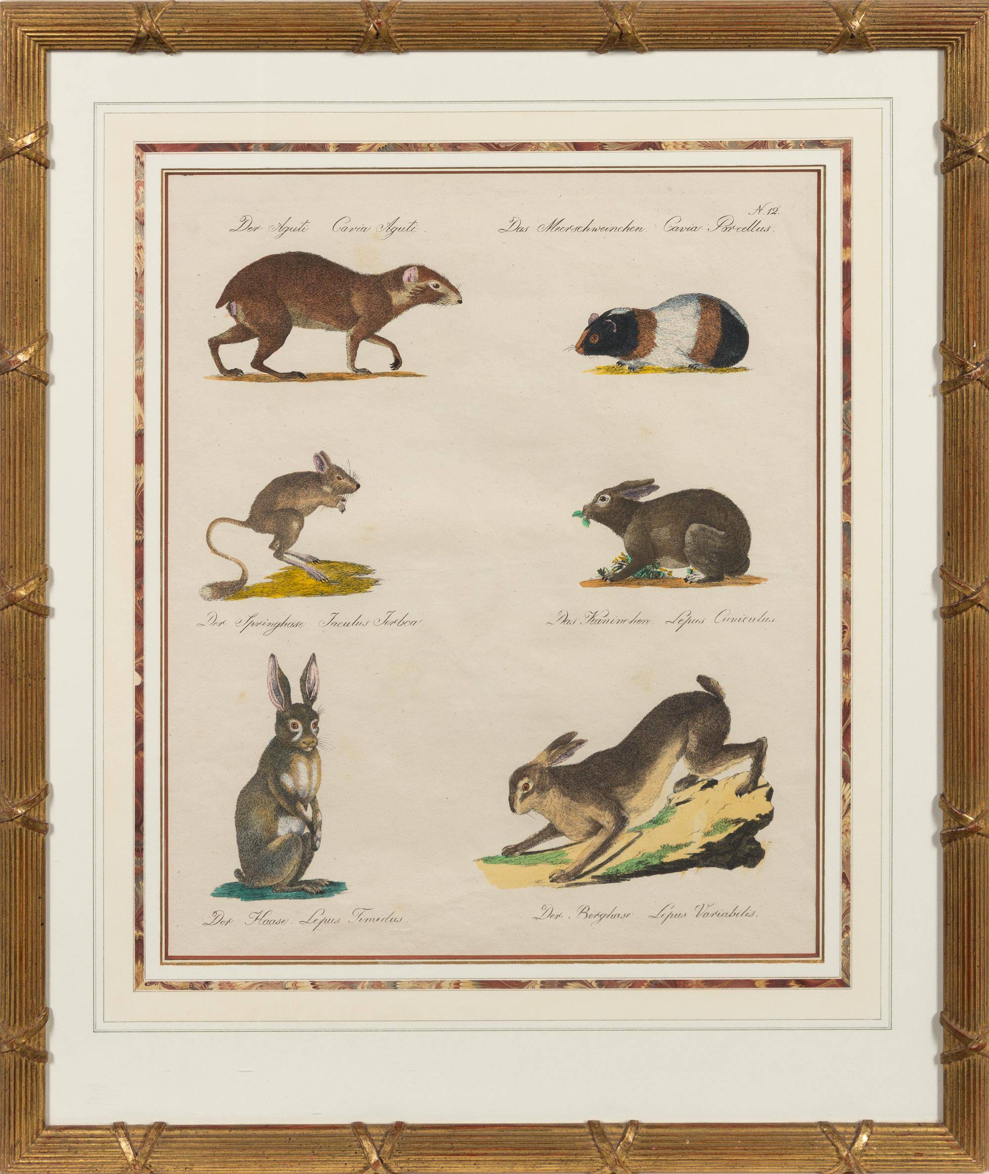 A Set of Eight Animalier Prints 16 3/4 x 13 1/2 inches. — 19TH CENTURY