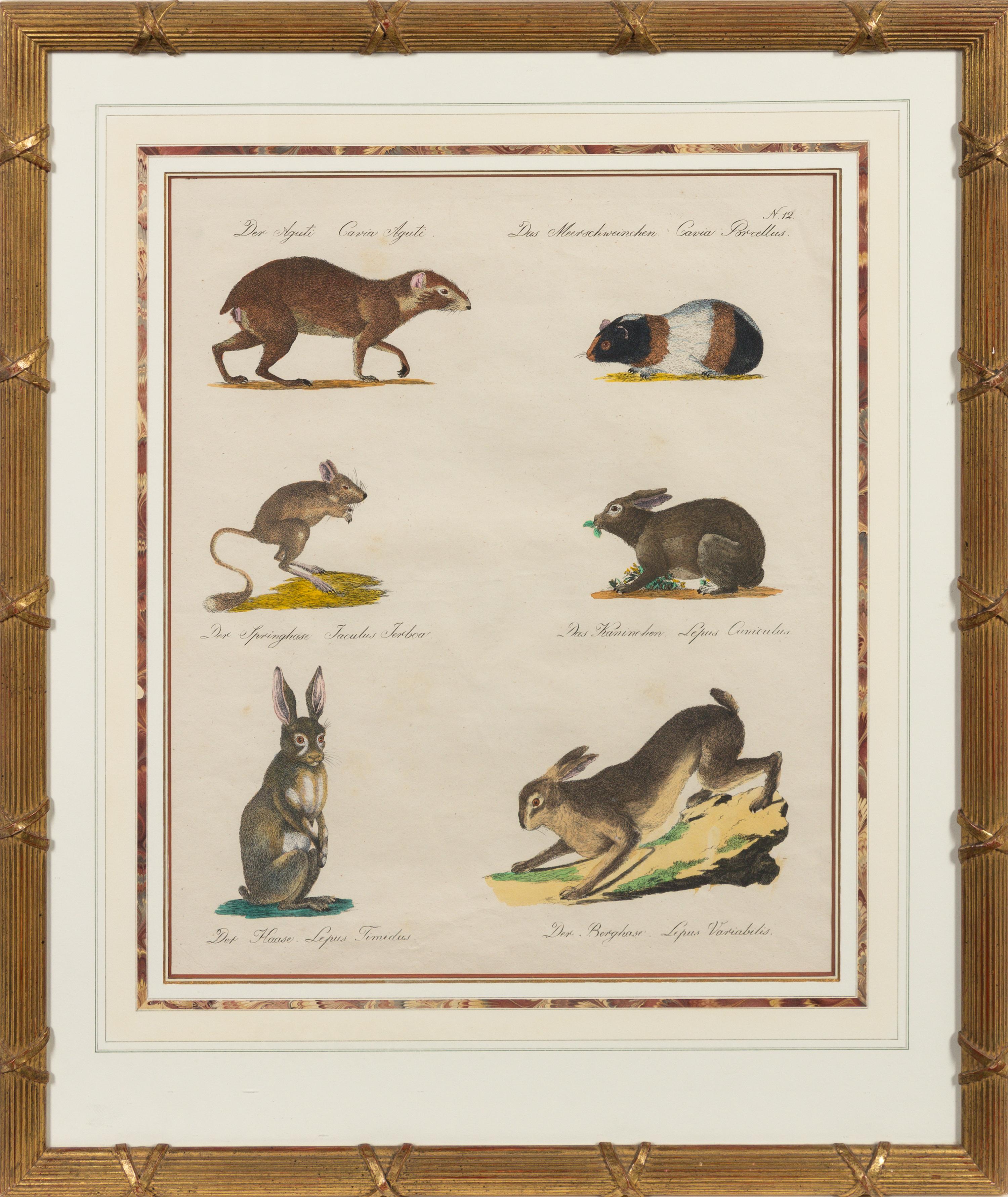 A Set of Eight Animalier Prints 16 3/4 x 13 1/2 inches. — 19TH CENTURY