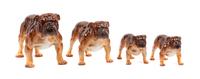 A Group of Four Royal Doulton Bulldogs Width of widest 9 inches.