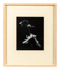 Paul Caponigro (born 1932) Winthrop, Massachusetts, 1965