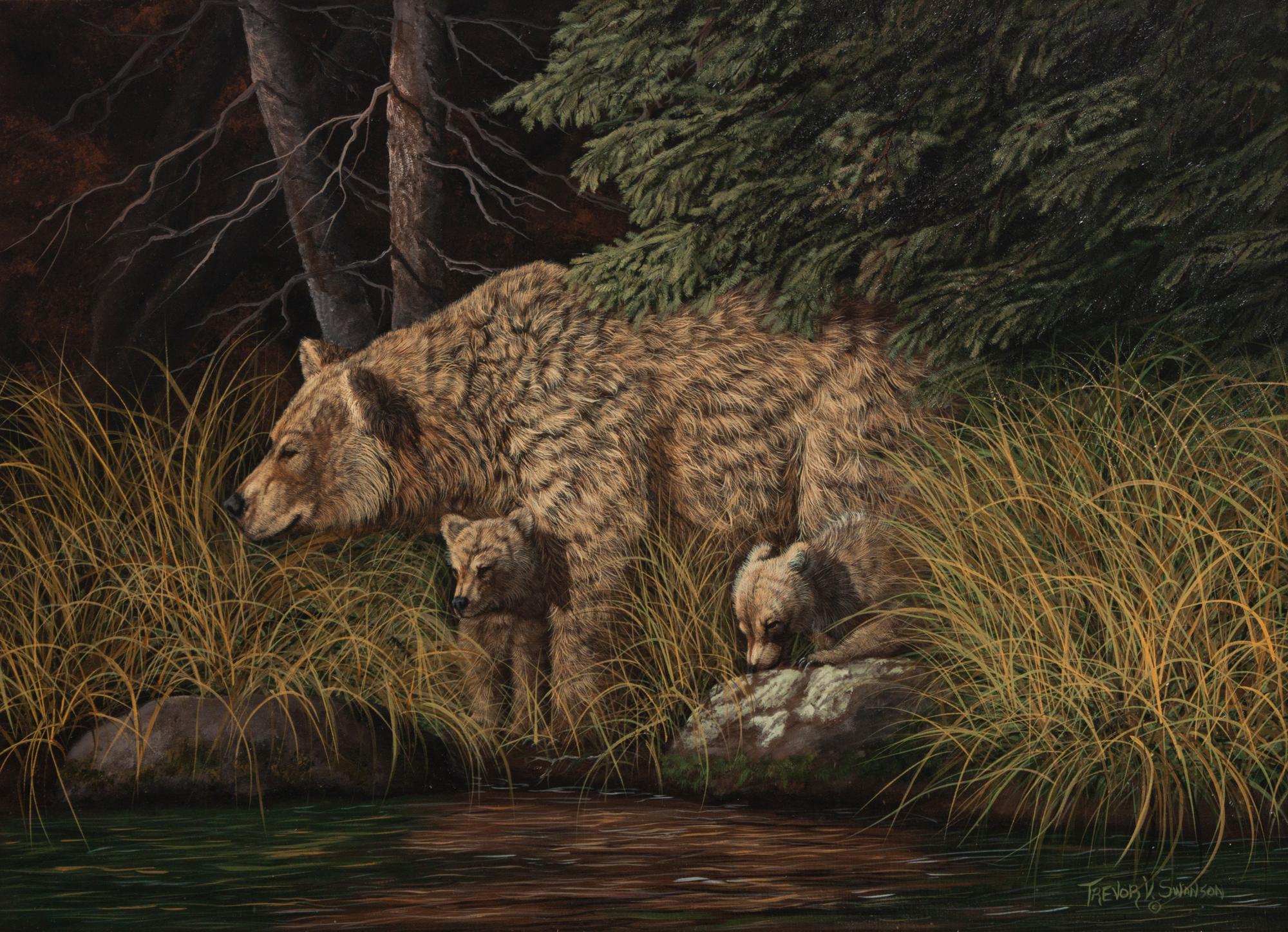 Mother Bear