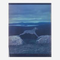 William Wegman (American, b. 1943) Overlook