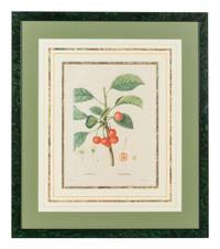 Six French Botanical Prints