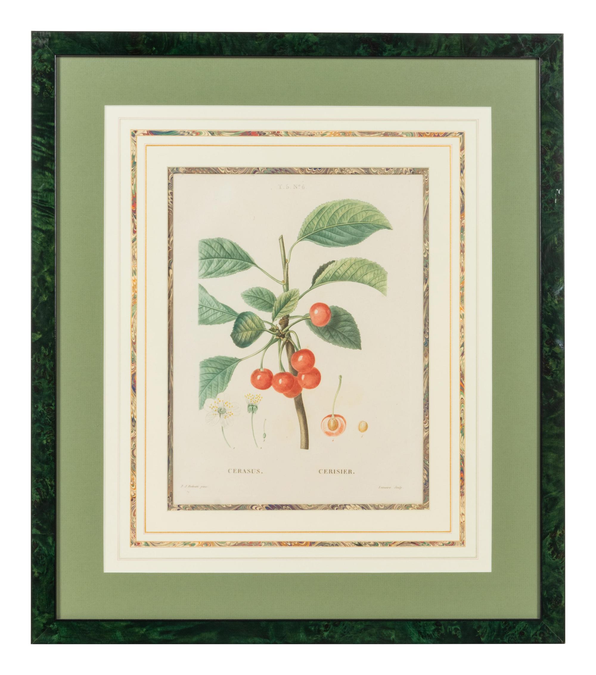 Six French Botanical Prints