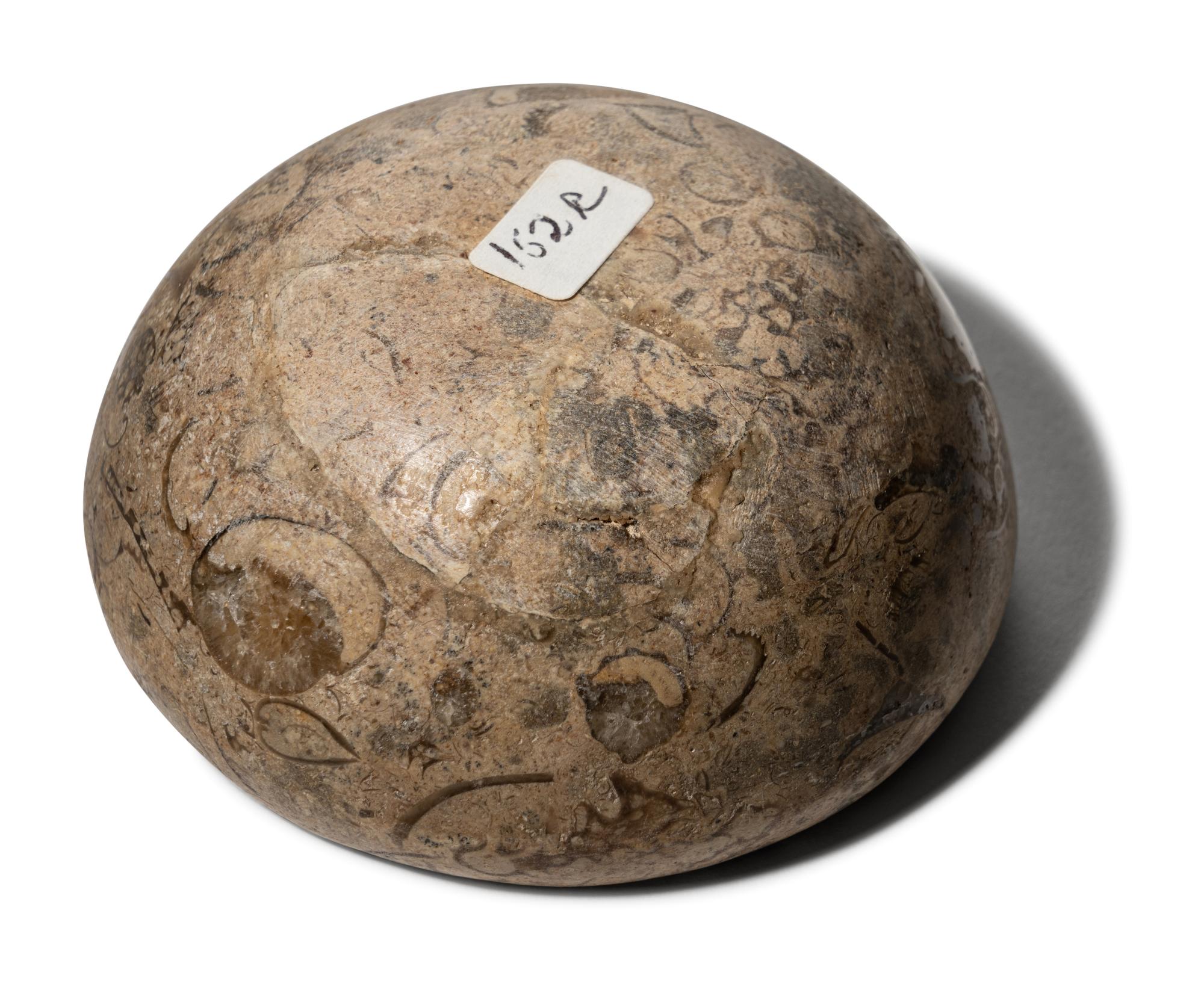 An Egyptian Breccia Bowl
