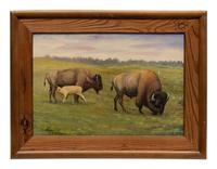 Bison