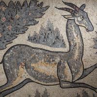 A Late Roman Mosaic Panel with a Leaping Ibex