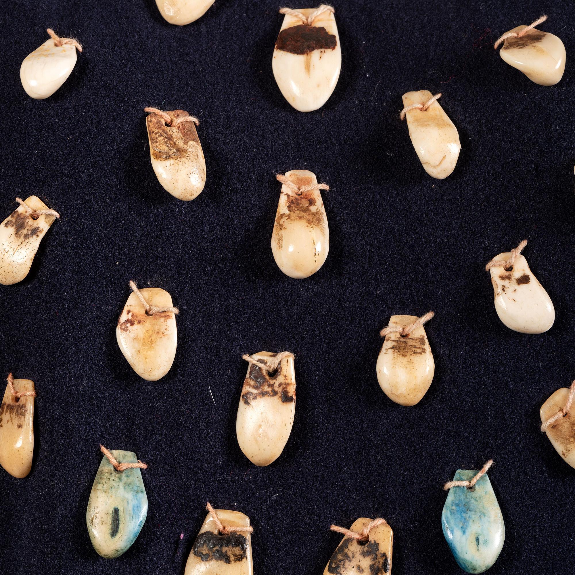 Apsáalooke Trade Wool Dress, with Bone Carved Elk Teeth