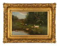 The Duck Pond