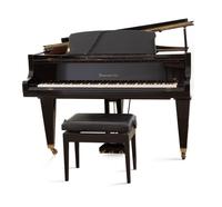 A Bösendorfer Model 200 Grand Piano