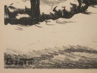 The Woodpile