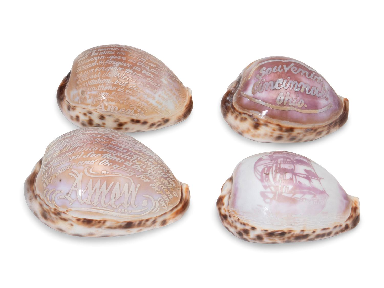 Five Carved Cowrie Shells
