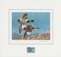 (DUCK STAMPS) A collection of 12 signed lithographs with accompanying duck stamps.