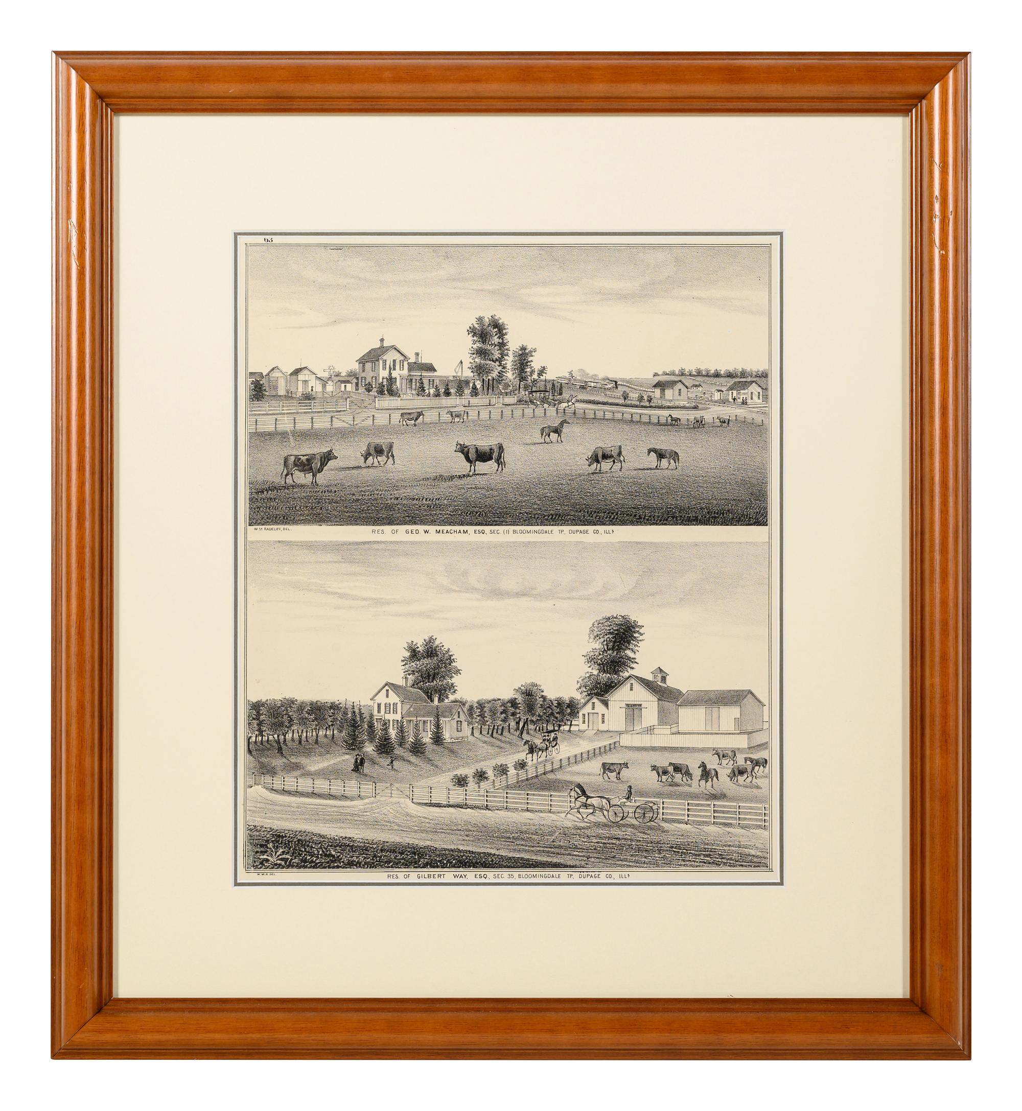 Printed City Views and farm scenes of Bloomingdale and Dupage County, Ill. N.p.: N.d. 23 x 21 In. Matted and framed.