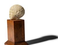 An Egyptian Limestone Head of a Nubian