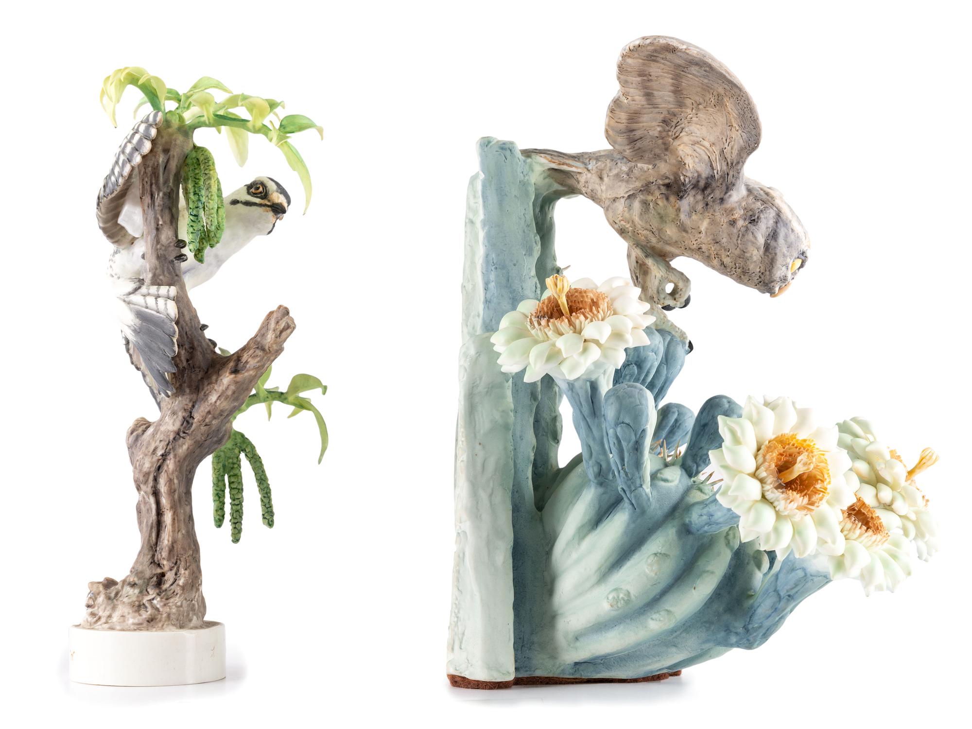 A Dorothy Doughty for Royal Worcester Porcelain Cactus Owl and Downey Woodpecker