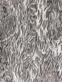Patrick Mavros (Harare, Zimbabwe, Est. 1978) — Young Male Gorilla Lying (Peter), 1996