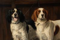 English Setters