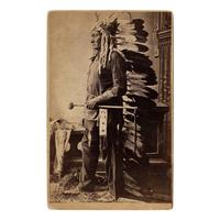 David F. Barry (American, 1854-1934) — Sitting Bull ca 1880s