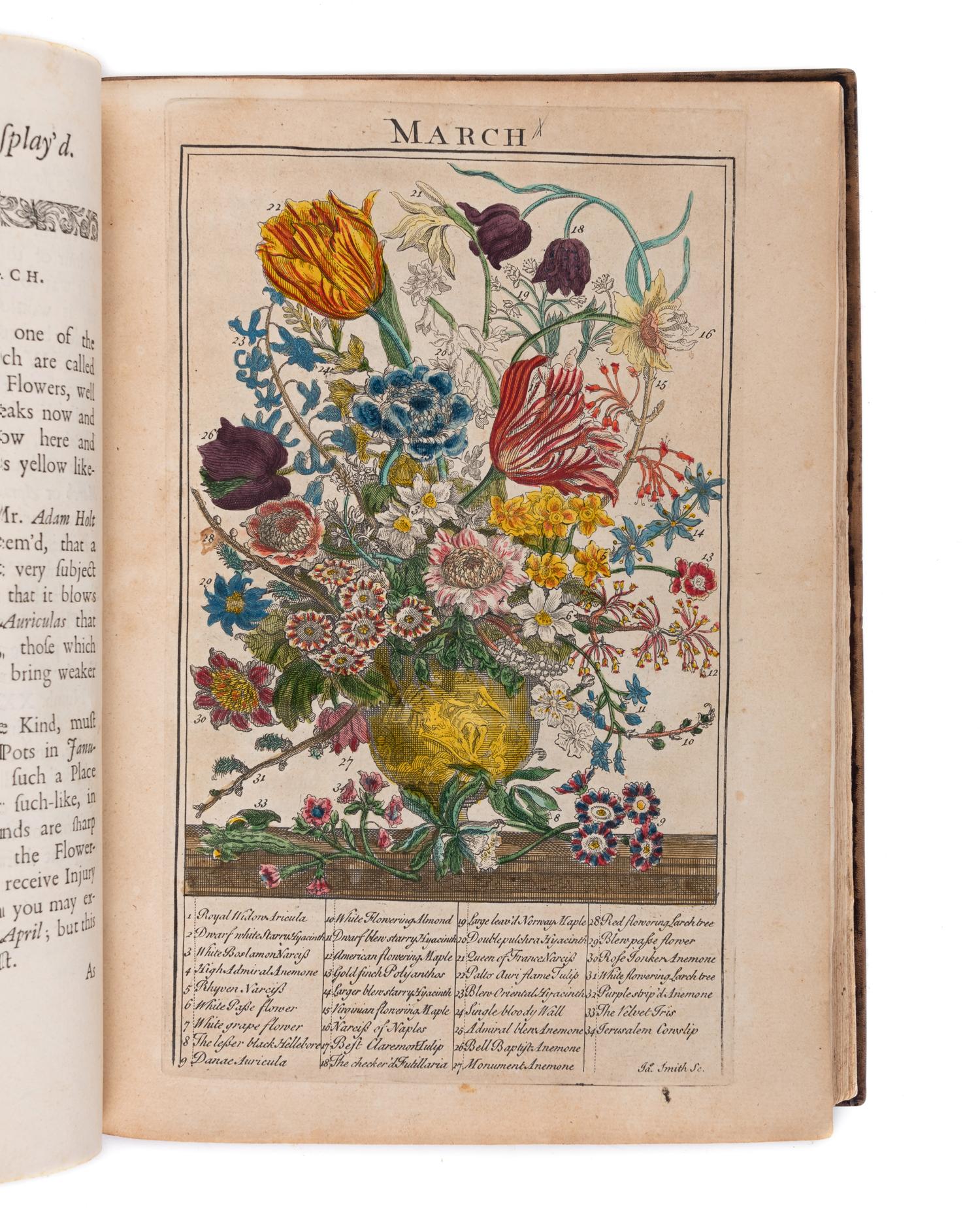 [NATURAL HISTORY]. FURBER, Robert (ca 1674-1756) and Richard BRADLEY (d.1732). The Flower-Garden Display'd, in above Four Hundred Curious Representations of the most Beautiful Flowers . London: R. Montagu, J. Brindley and C. Corbett, 1734.
