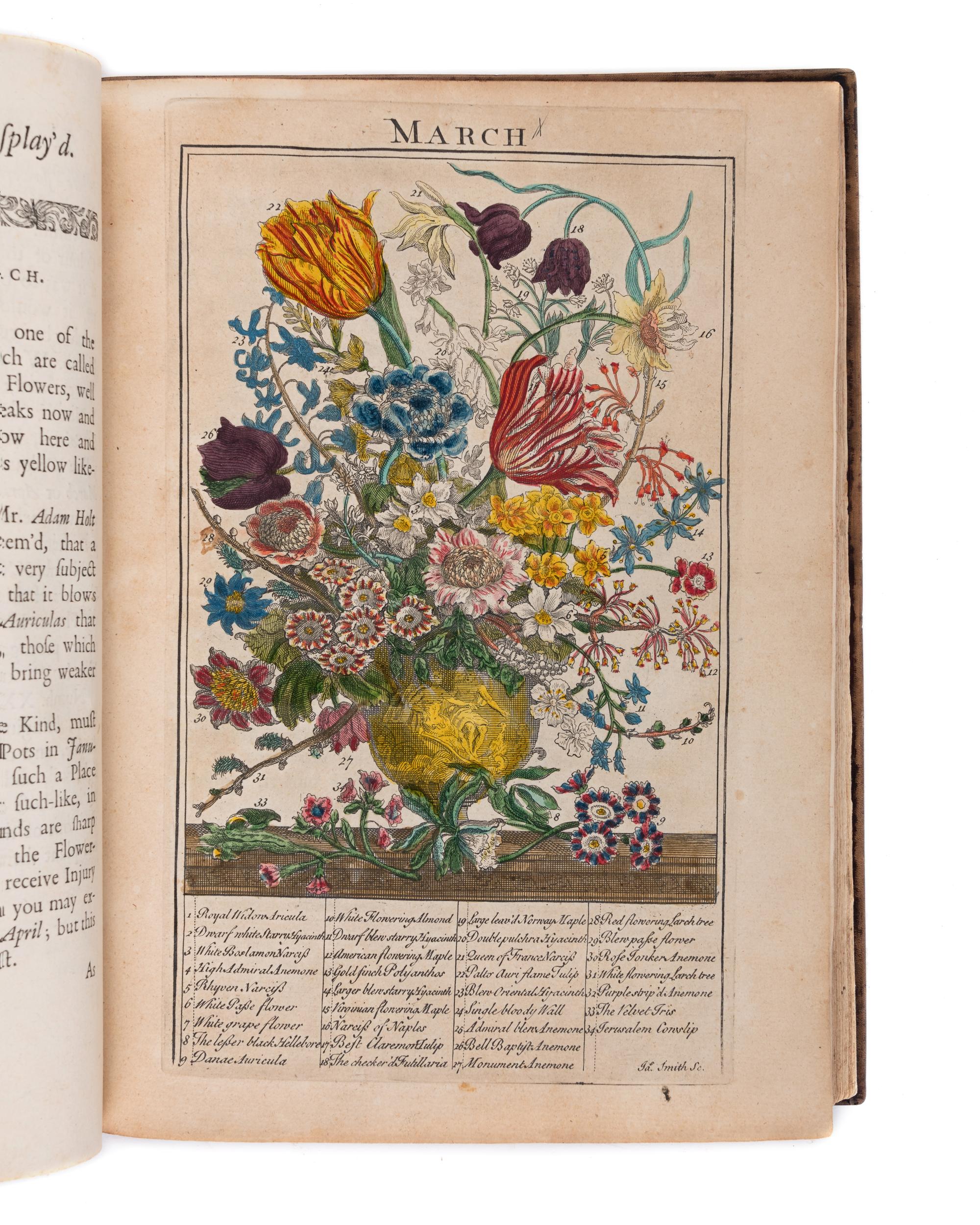 [NATURAL HISTORY]. FURBER, Robert (ca 1674-1756) and Richard BRADLEY (d.1732). The Flower-Garden Display'd, in above Four Hundred Curious Representations of the most Beautiful Flowers . London: R. Montagu, J. Brindley and C. Corbett, 1734.