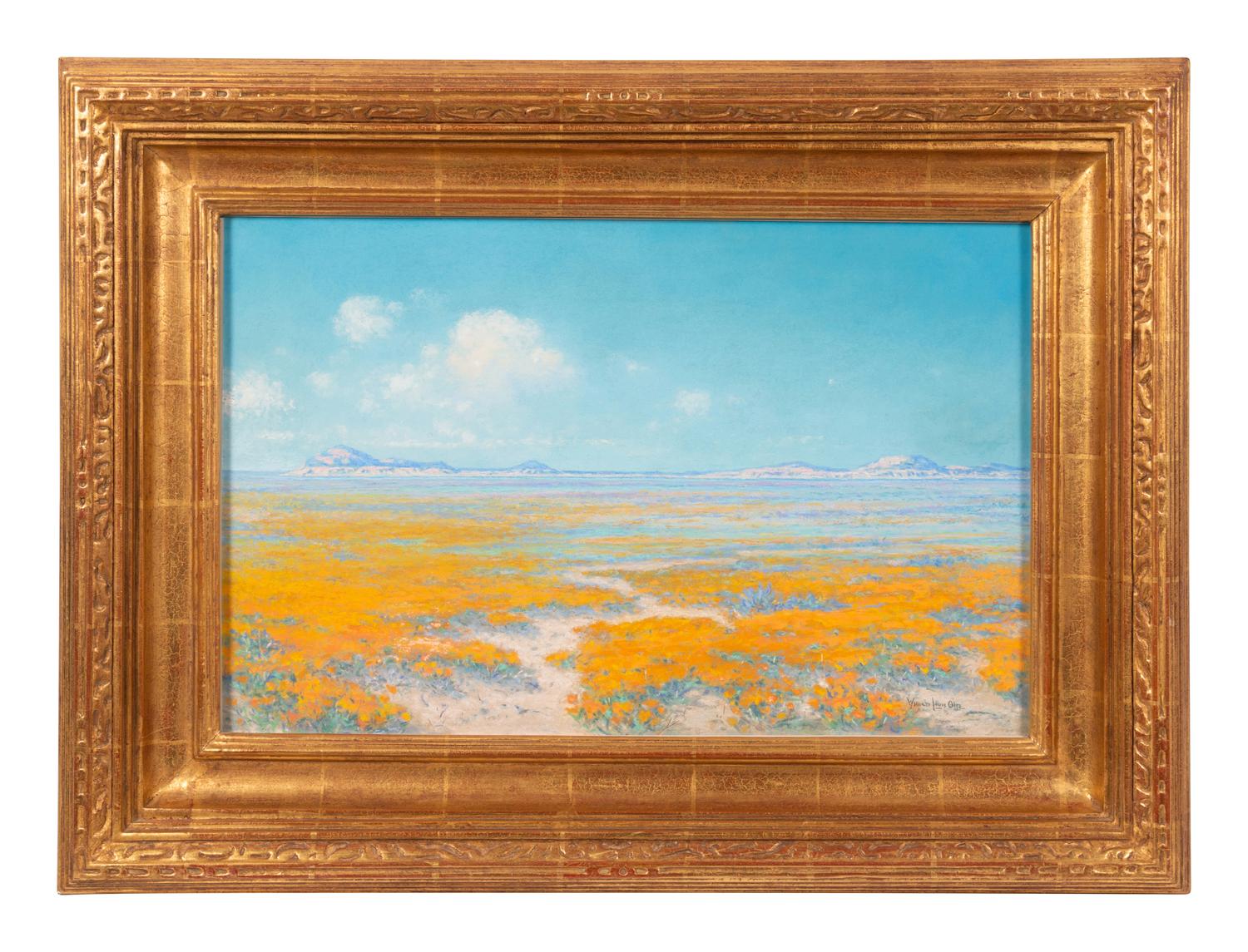 Spring on the Desert, Antelope Valley, California