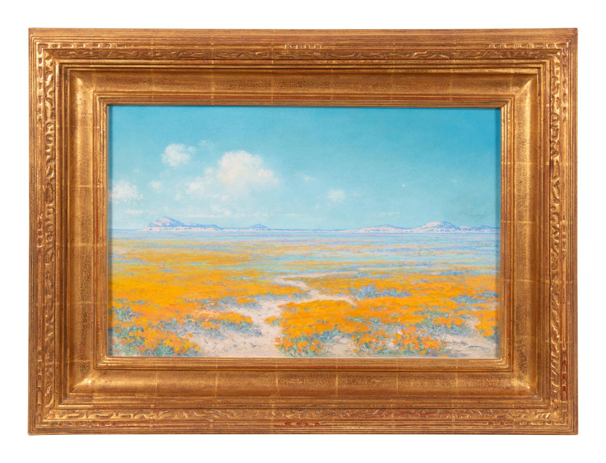 Spring on the Desert, Antelope Valley, California