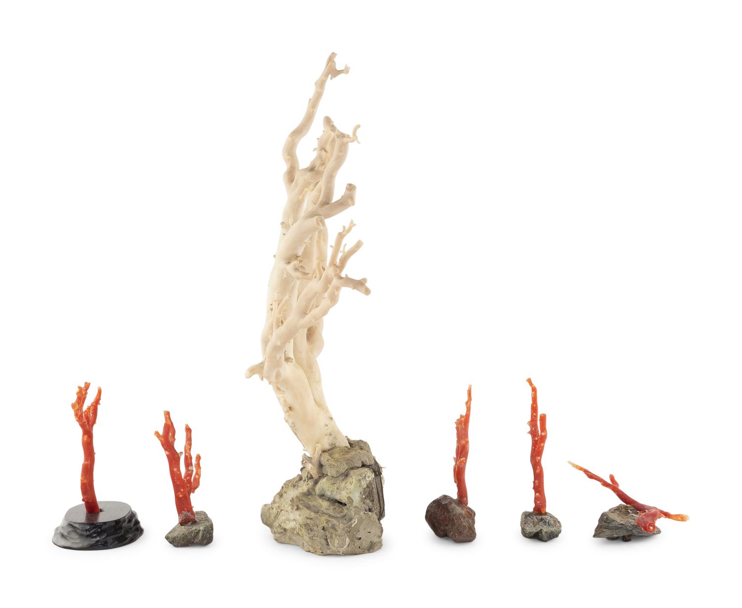 Six Chinese Coral Branches