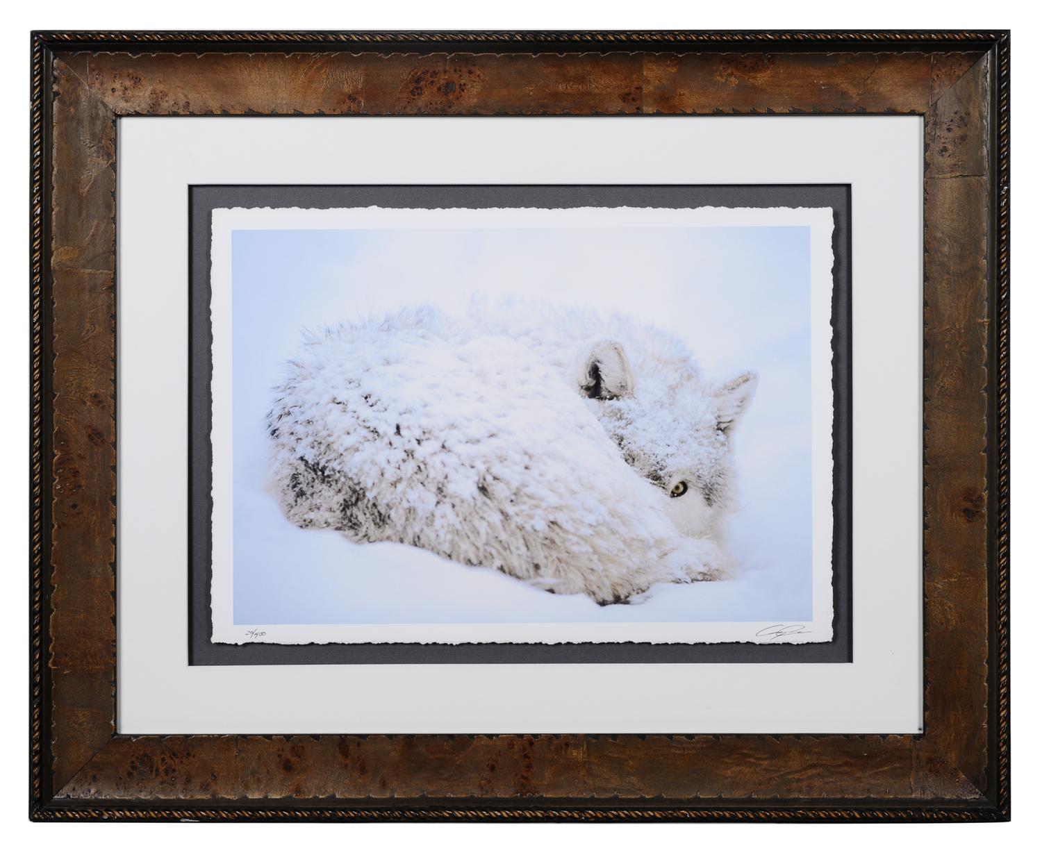 A Group of Four Framed Photographs