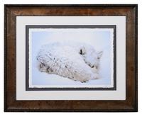A Group of Four Framed Photographs