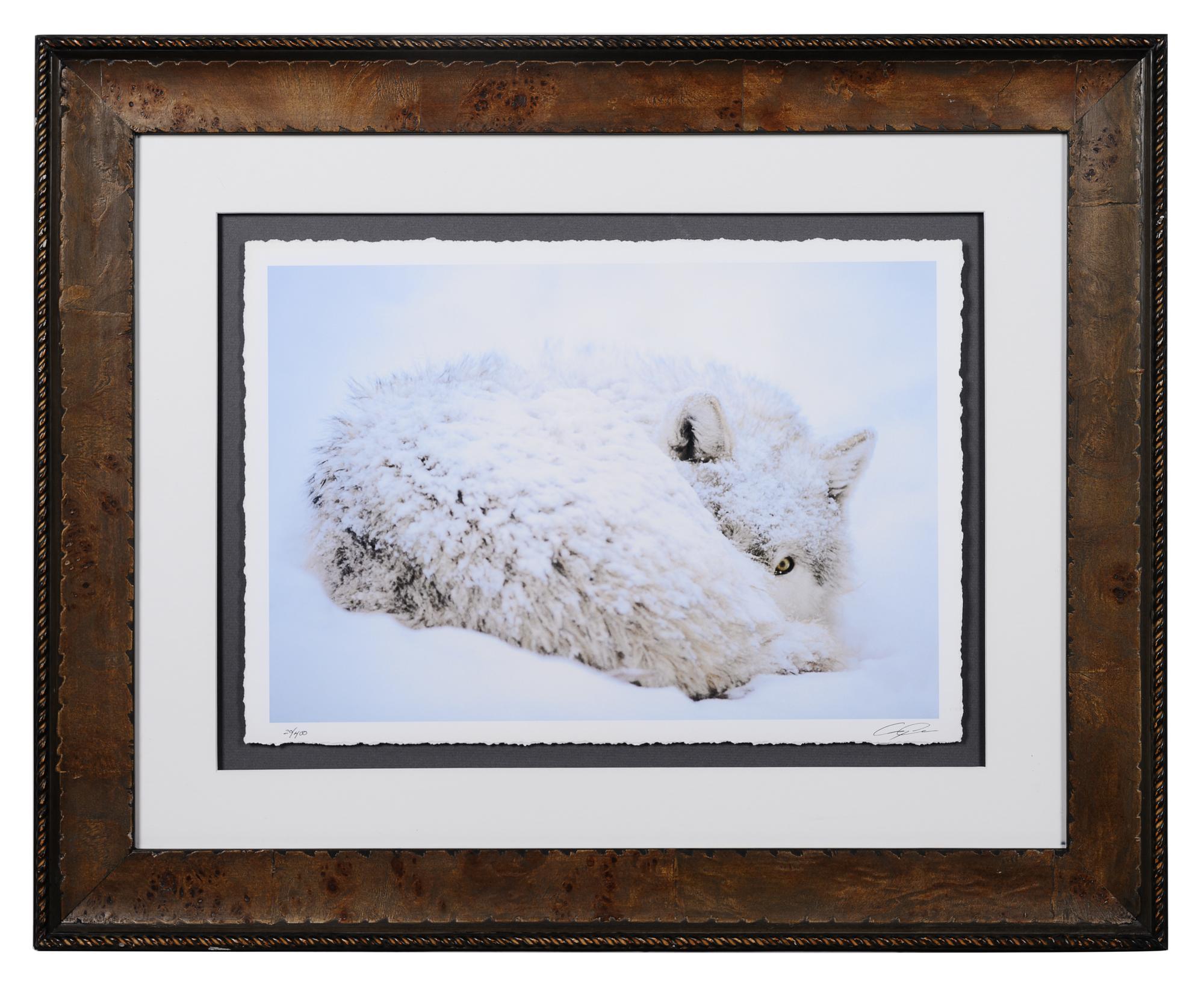 A Group of Four Framed Photographs