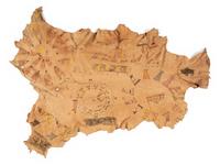 Painted Hide