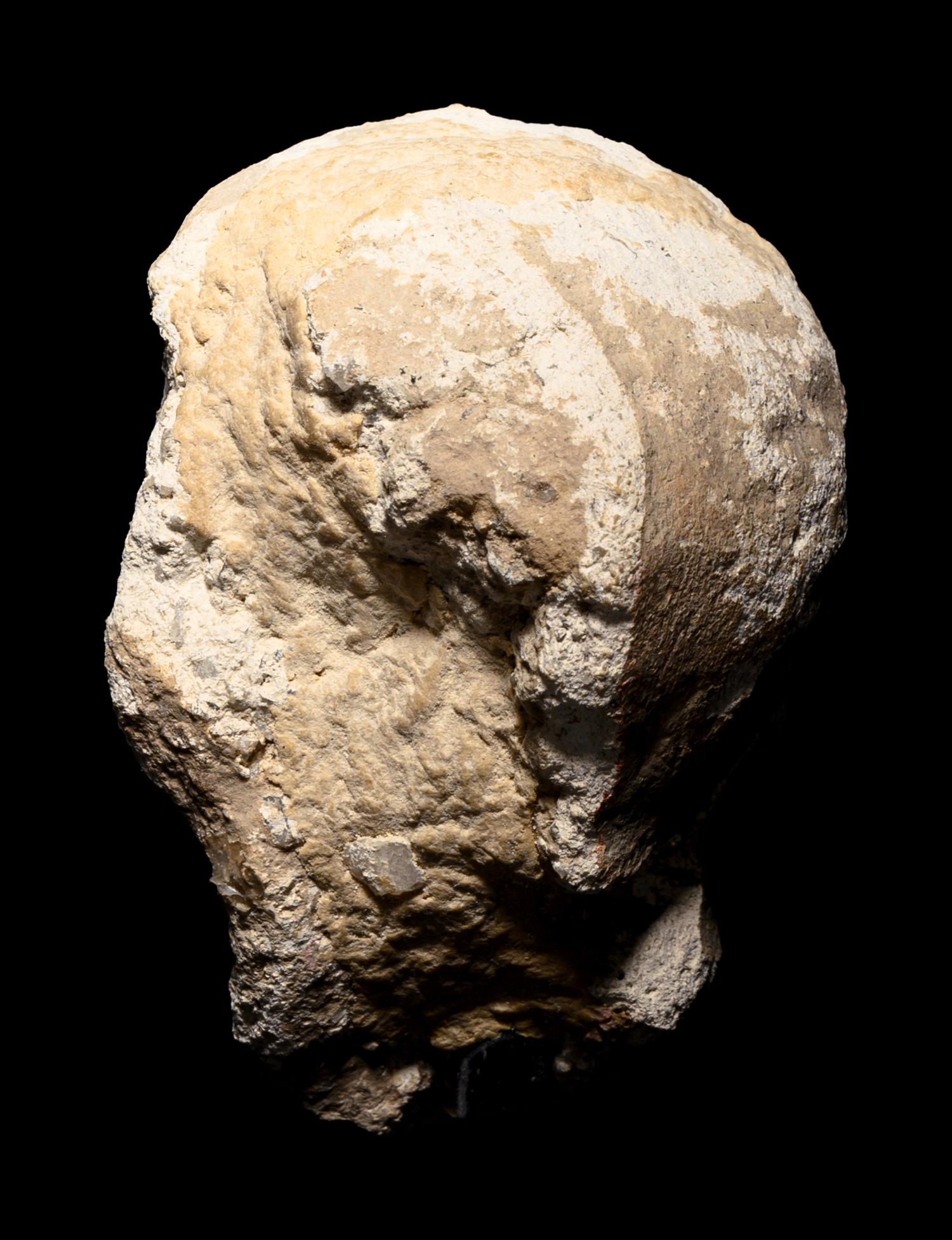 Five Gandharan Fragmentary Stucco Heads