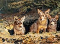 Waiting at the Den