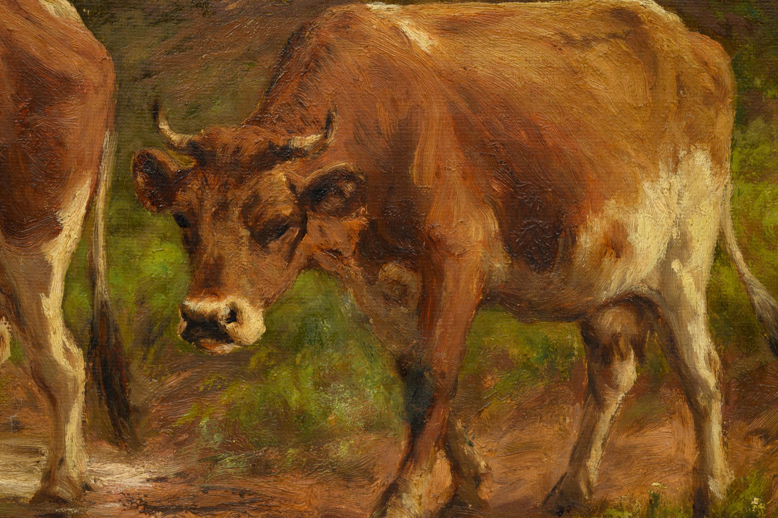 Where the Cattle Linger